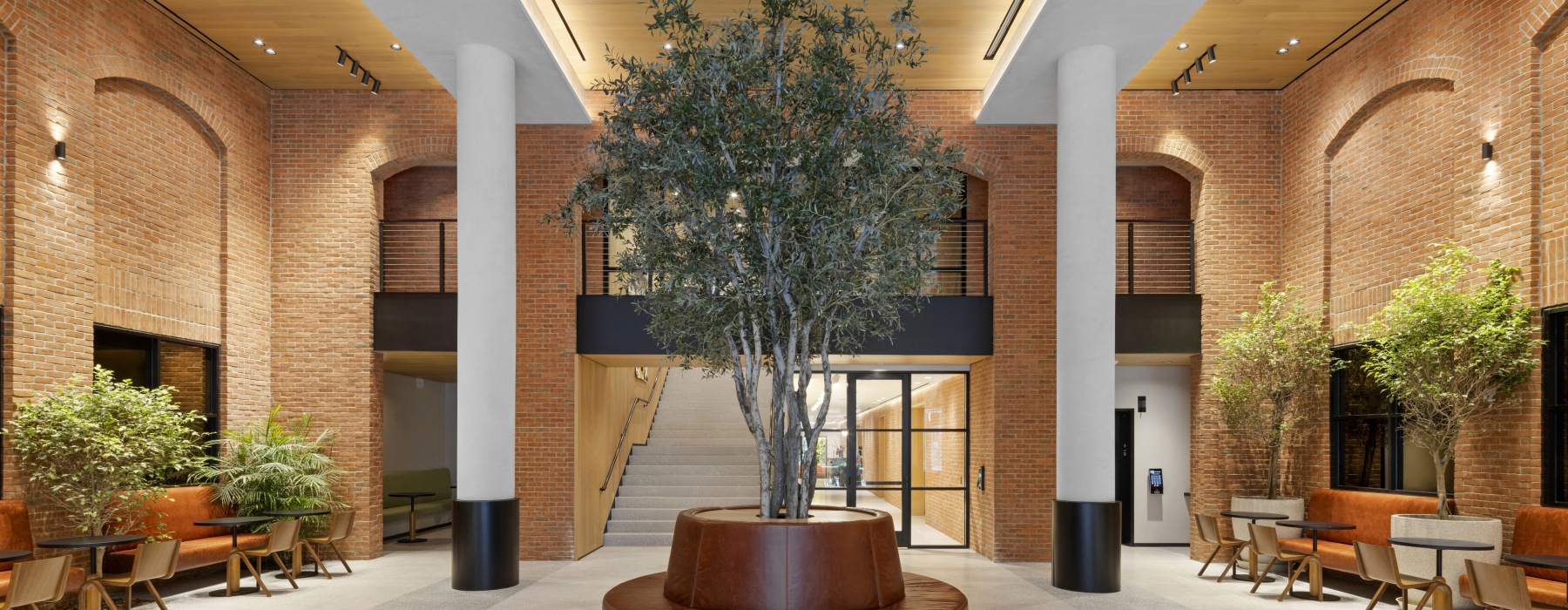 The Byron Lobby with brick arch walls and olive tree decor